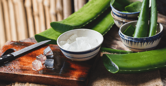 aloe vera leaves on brown table, cut up aloe vera leaves in bowl, surprising health benefits of aloe vera, real aloe vera