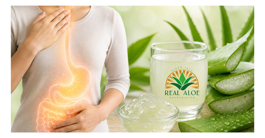 Aloe Vera for the Esophagus and Gut Lining: How Inner Leaf Aloe May Help Soothe and Support Digestive Comfort
