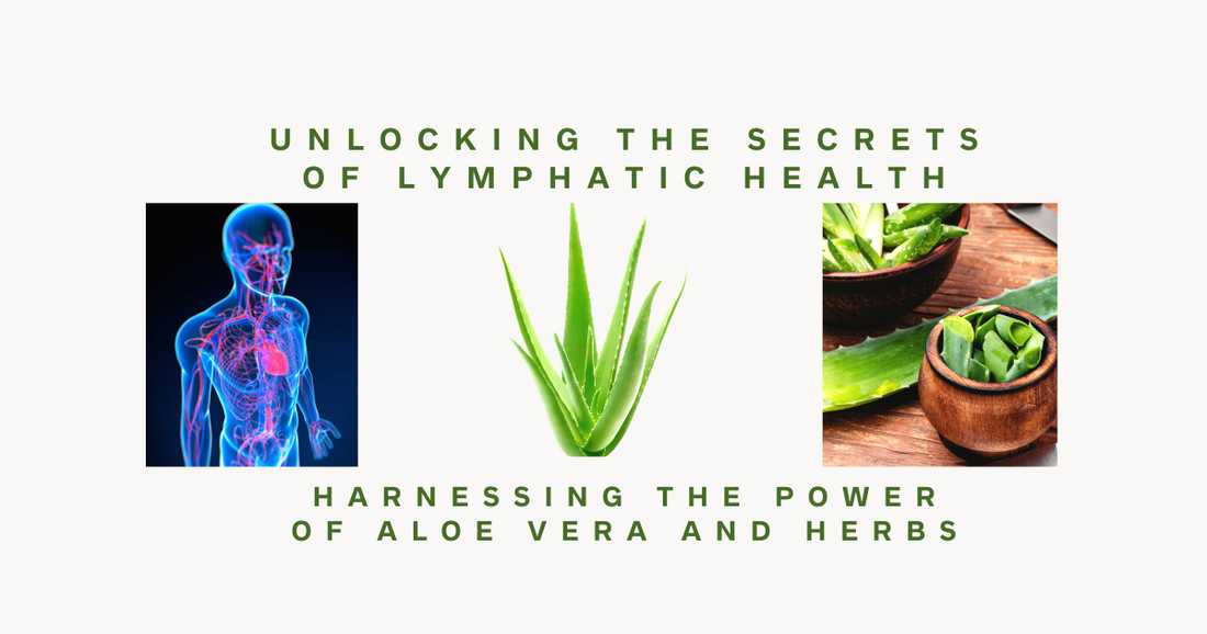 Revolutionize Your Health: The Untold Impact of a Healthy Lymphatic System