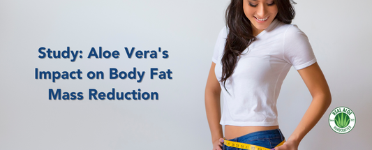 Study: Aloe Vera's Impact on Body Fat Mass Reduction & Other Health Benefits