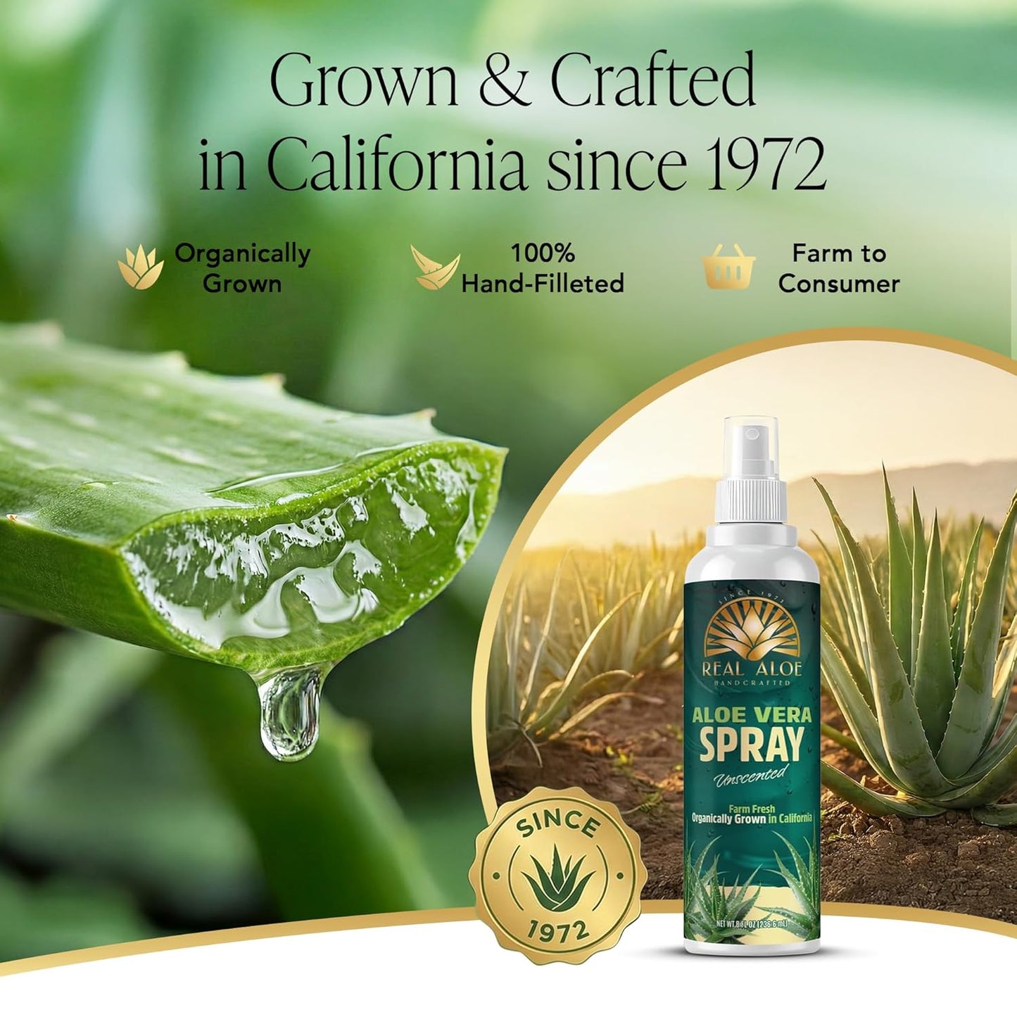 Aloe Vera Spray (8 fl oz)