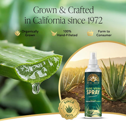 Aloe Vera Spray (8 fl oz)