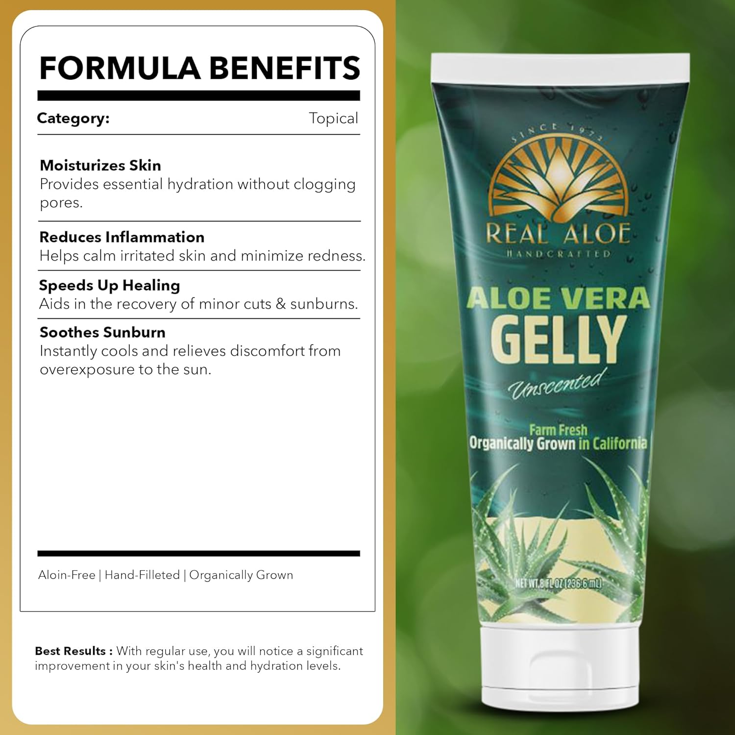 Aloe Vera Gelly - Natural Skin Hydration and Relief – Real Aloe
