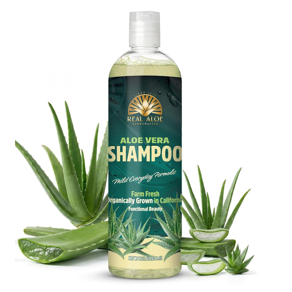 Aloe Vera Shampoo - Revitalize Your Hair Naturally Bulk
