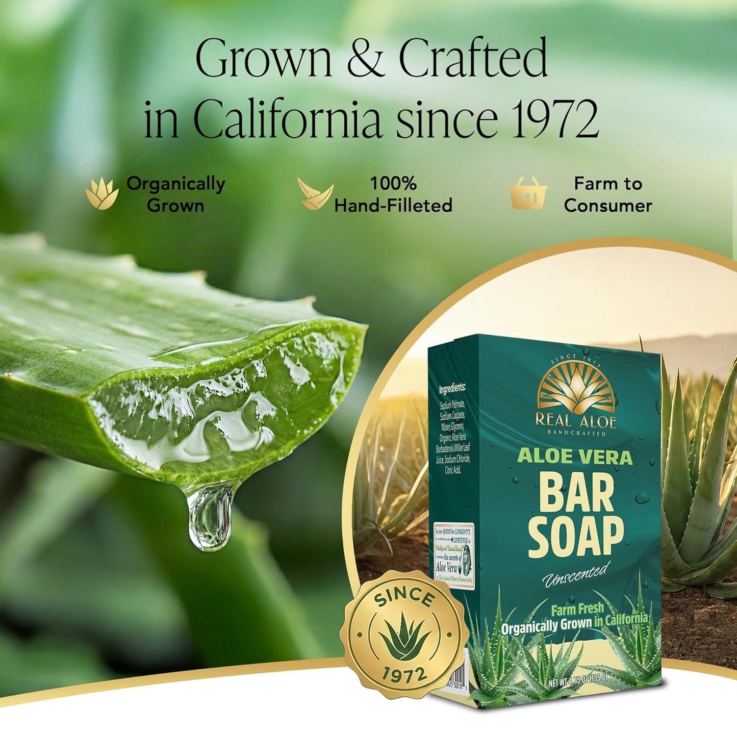 Aloe Vera Bar Soap (4.75 oz)