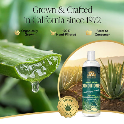 Aloe Vera Conditioner (16 fl oz)
