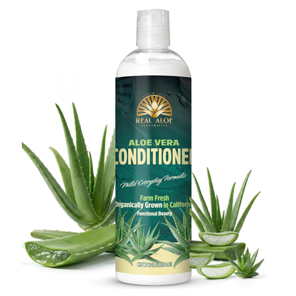 aloe vera plant deep conditioner Aloe Vera Conditioner for Healthy, Hydrated Hair | 16 fl oz Bulk