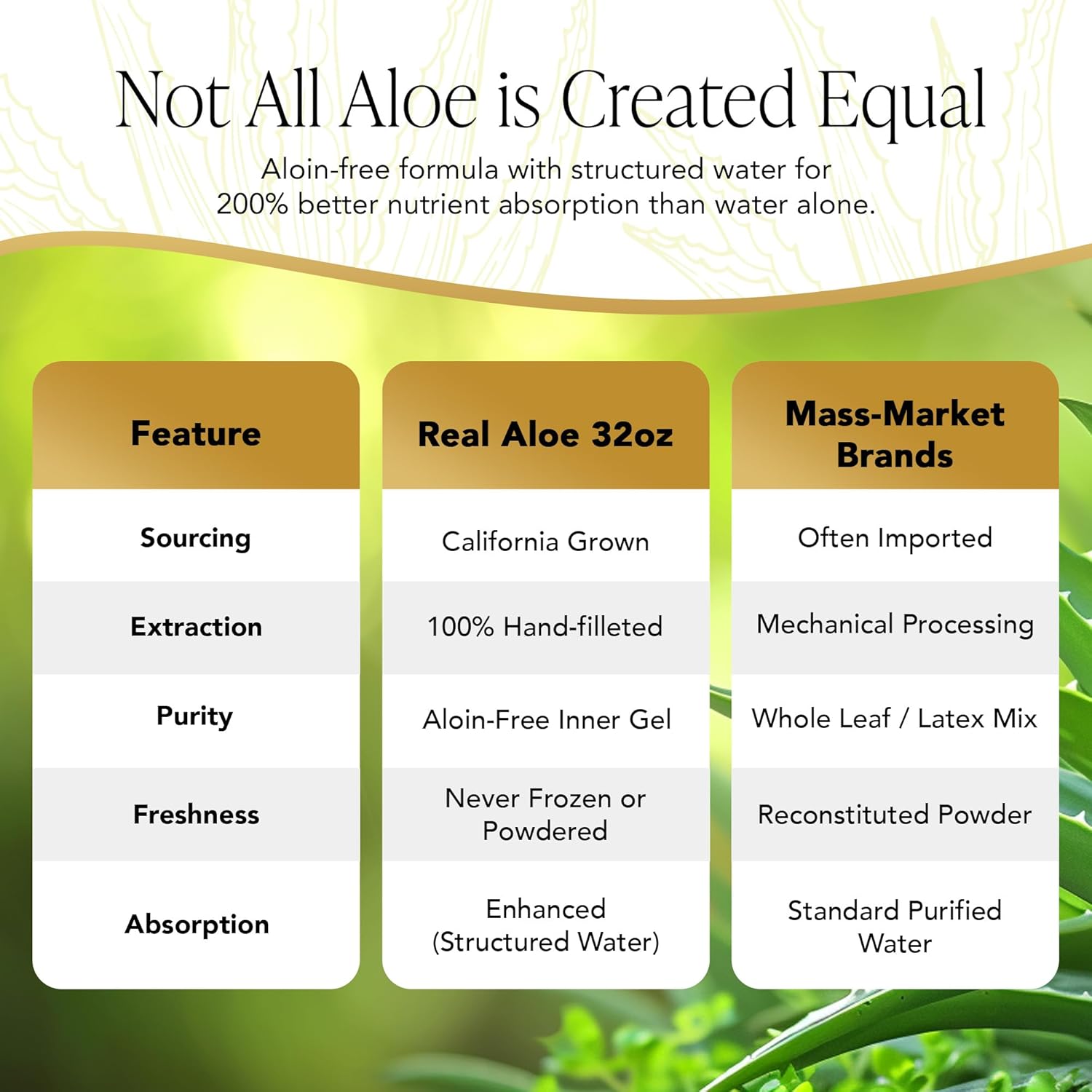 aloe vera plant vs aloe vera gel Aloe Vera Super Gel