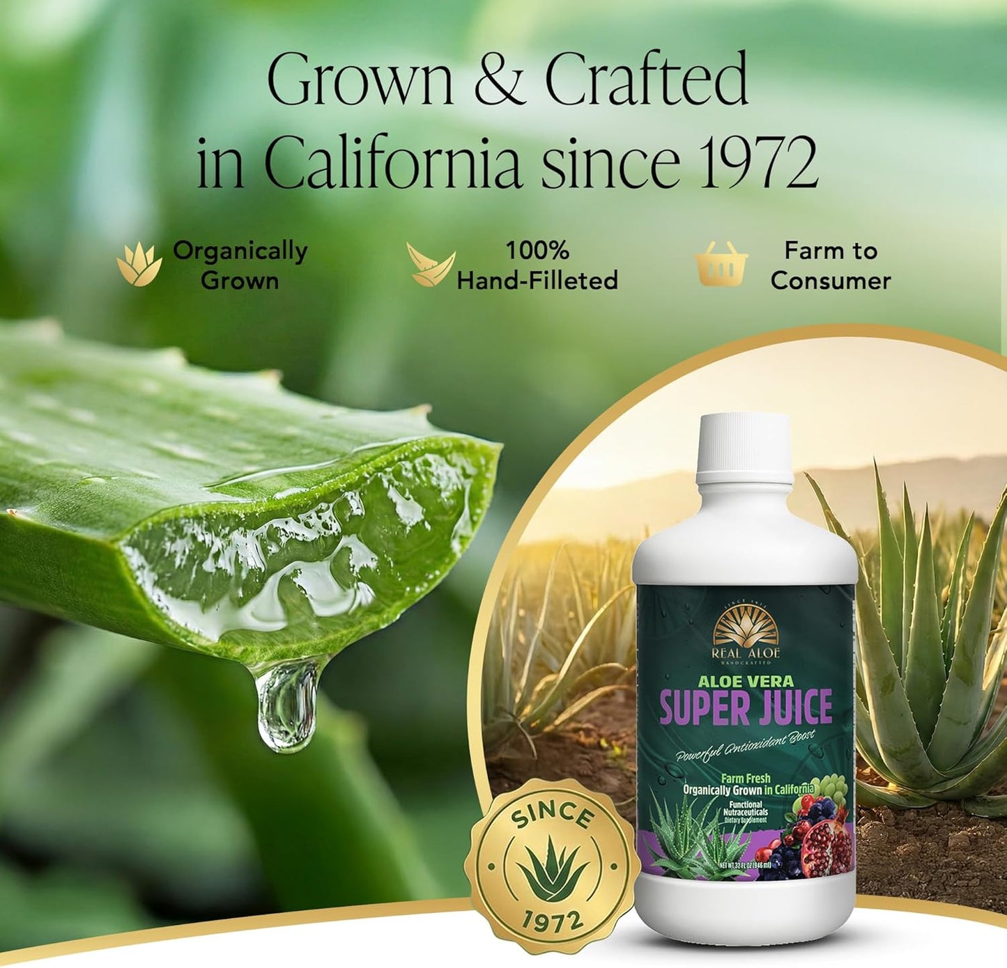Aloe Vera Super Juice (32 fl. oz)