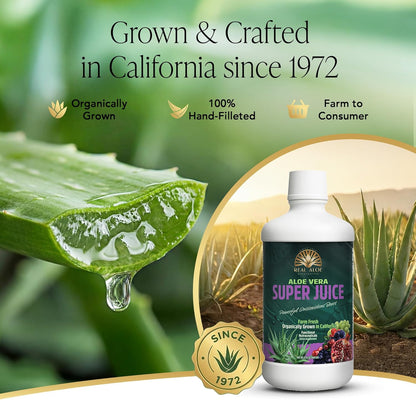 Aloe Vera Super Juice (32 fl. oz)